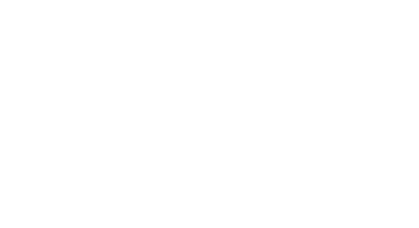 Xavi